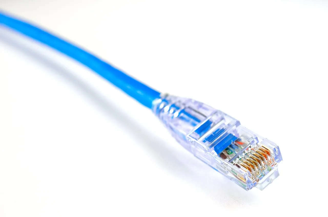 A blue Ethernet network cable with a clear RJ45 connector against a white background